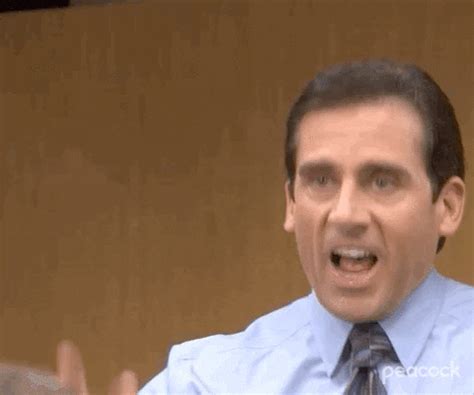 michael scott i love it gif